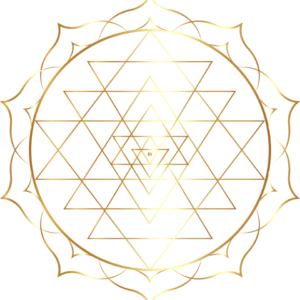 Konsultacja ekspresowa